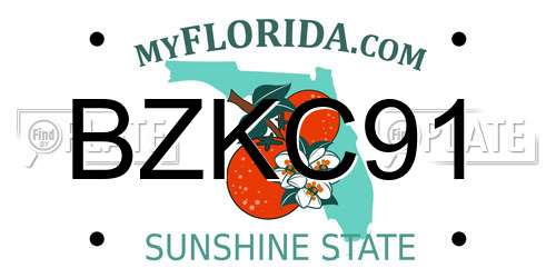BZKC91 Florida License Plate