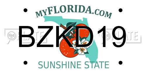 BZKD19 Florida License Plate