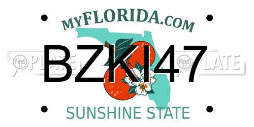 BZKI47 Florida License Plate