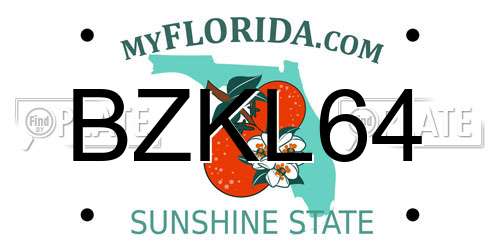 BZKL64 Florida License Plate
