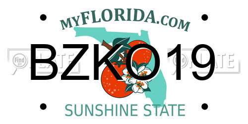 BZKO19 Florida License Plate