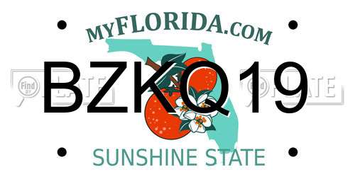 BZKQ19 Florida License Plate