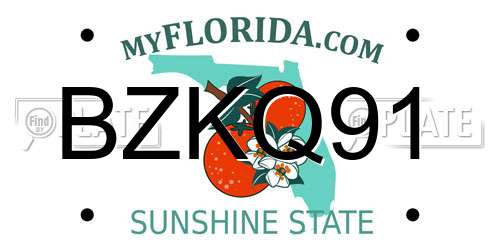 BZKQ91 Florida License Plate