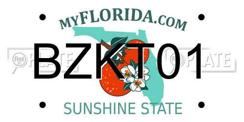 BZKT01 Florida License Plate