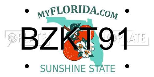 BZKT91 Florida License Plate