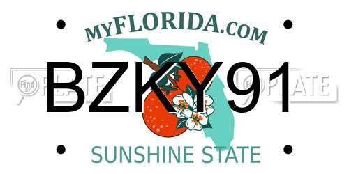 BZKY91 Florida License Plate