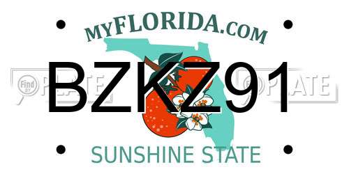 BZKZ91 Florida License Plate