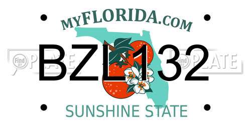 BZL132 Florida License Plate