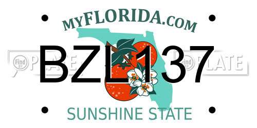 BZL137 Florida License Plate