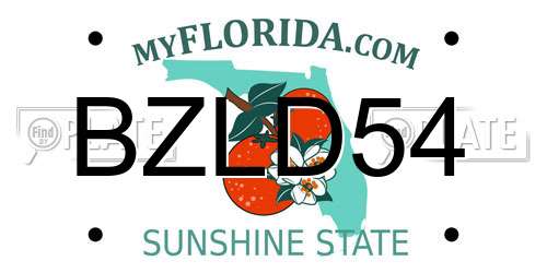 BZLD54 Florida License Plate