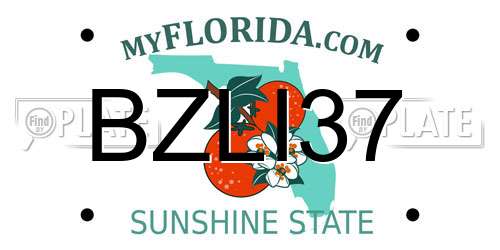 BZLI37 Florida License Plate