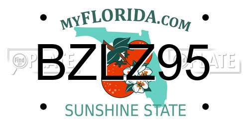 BZLZ95 Florida License Plate