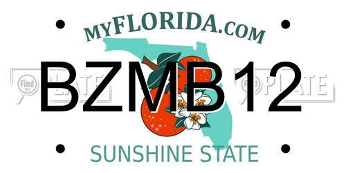 BZMB12 Florida License Plate