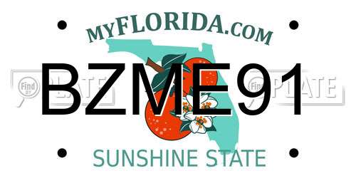 BZME91 Florida License Plate