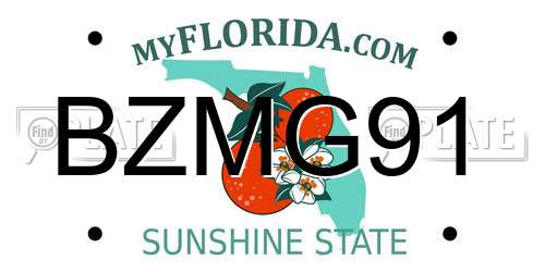 BZMG91 Florida License Plate