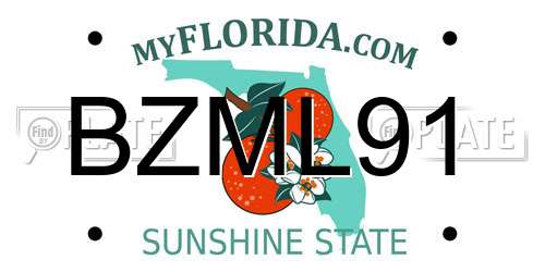 BZML91 Florida License Plate