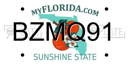 BZMQ91 Florida License Plate