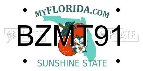 BZMT91 Florida License Plate