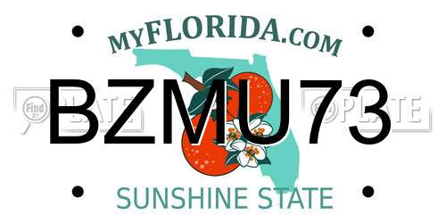 BZMU73 Florida License Plate