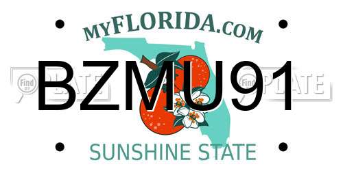 BZMU91 Florida License Plate