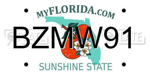 BZMW91 Florida License Plate