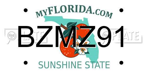 BZMZ91 Florida License Plate