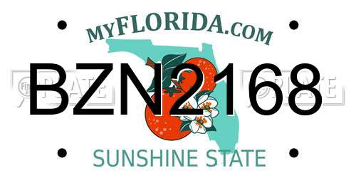 BZN2168 Florida License Plate