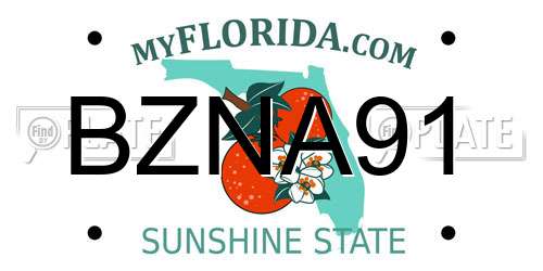 BZNA91 Florida License Plate