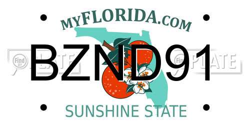 BZND91 Florida License Plate