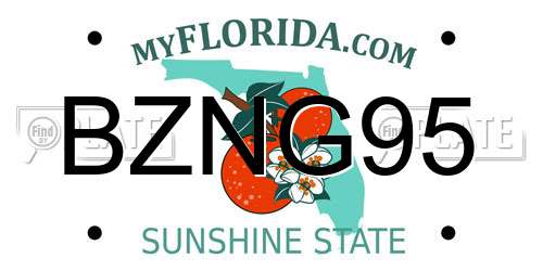 BZNG95 Florida License Plate