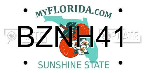 BZNH41 Florida License Plate