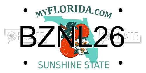 BZNL26 Florida License Plate