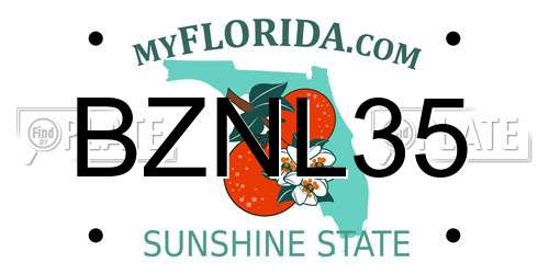 BZNL35 Florida License Plate