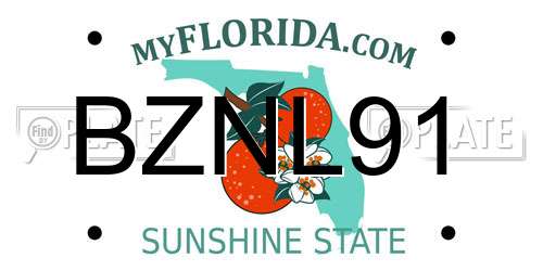 BZNL91 Florida License Plate