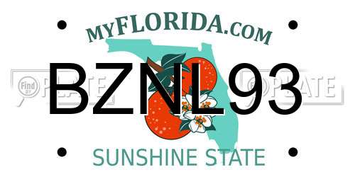BZNL93 Florida License Plate