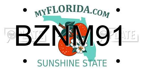 BZNM91 Florida License Plate