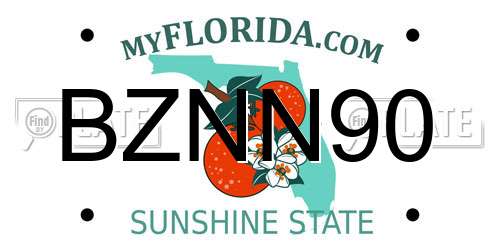BZNN90 Florida License Plate