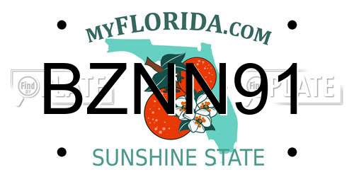 BZNN91 Florida License Plate