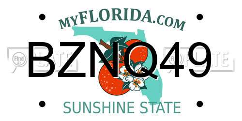 BZNQ49 Florida License Plate