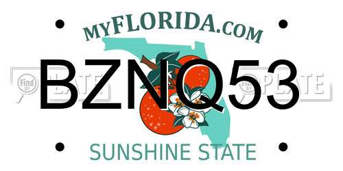 BZNQ53 Florida License Plate