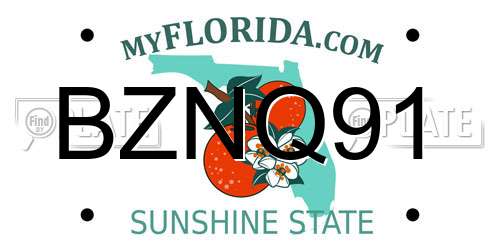 BZNQ91 Florida License Plate