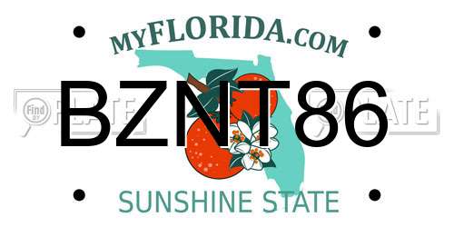 BZNT86 Florida License Plate