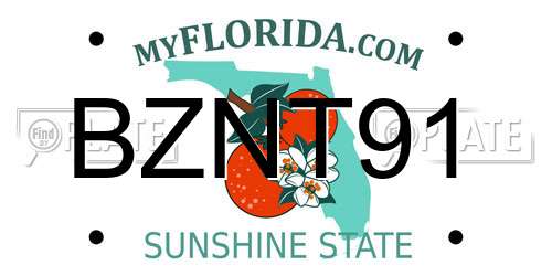 BZNT91 Florida License Plate