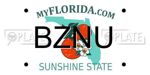 BZNU Florida License Plate