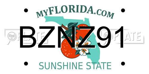 BZNZ91 Florida License Plate