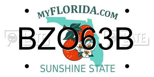 BZO63B Florida License Plate