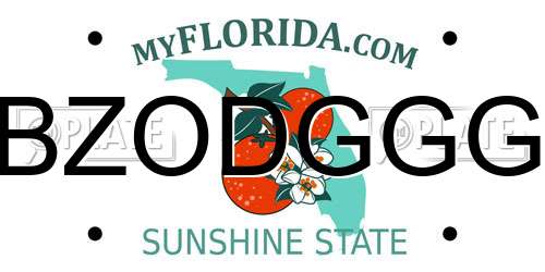 BZODGGG Florida License Plate
