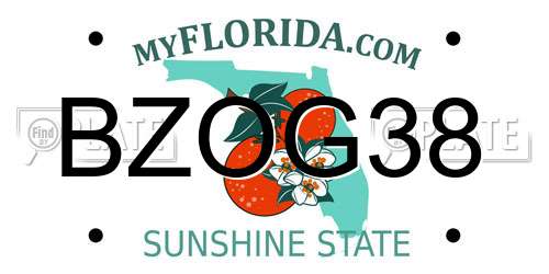 BZOG38 Florida License Plate