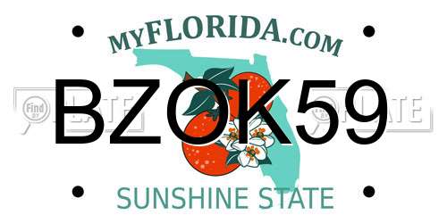 BZOK59 Florida License Plate