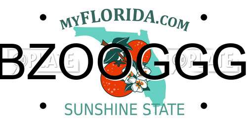 BZOOGGG Florida License Plate